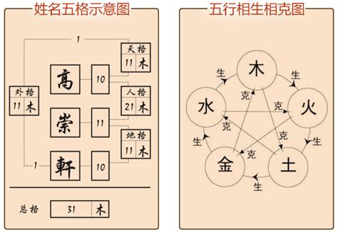 姓名五行分析